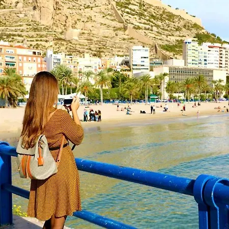En Zona De Ocio Casco Antiguo Alicante
